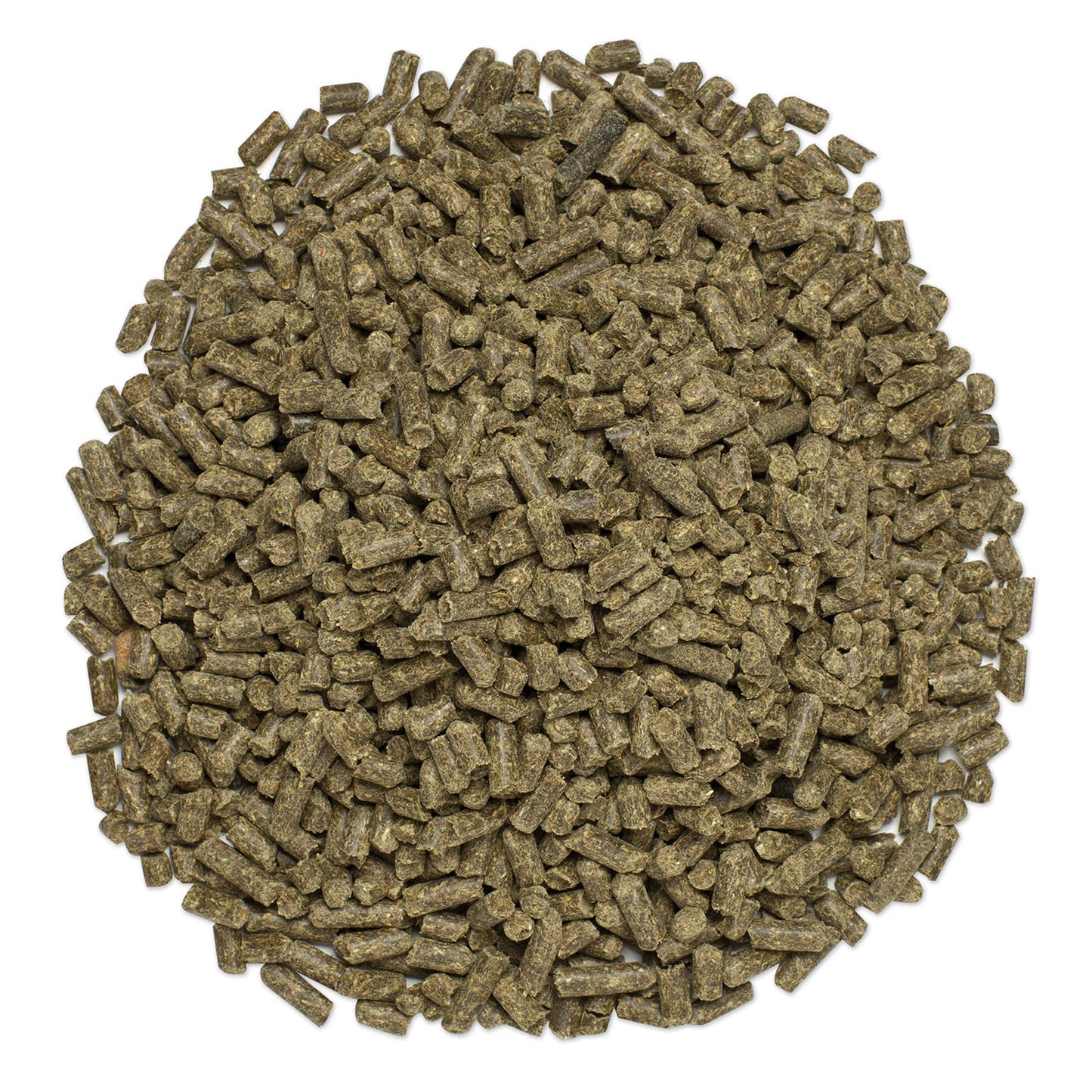 smartequine smart & simple msm pellets