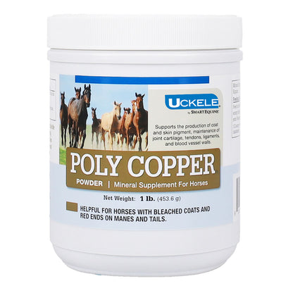 Poly Copper Powder