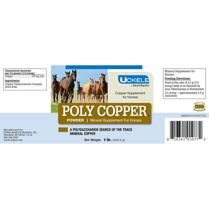 Poly Copper Powder