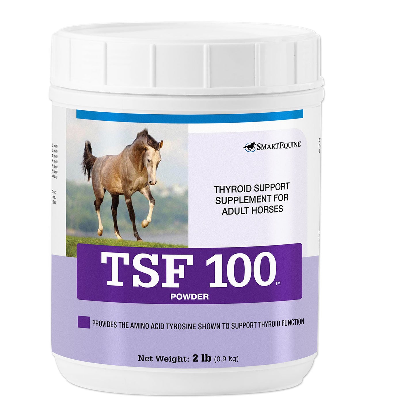 tsf 100