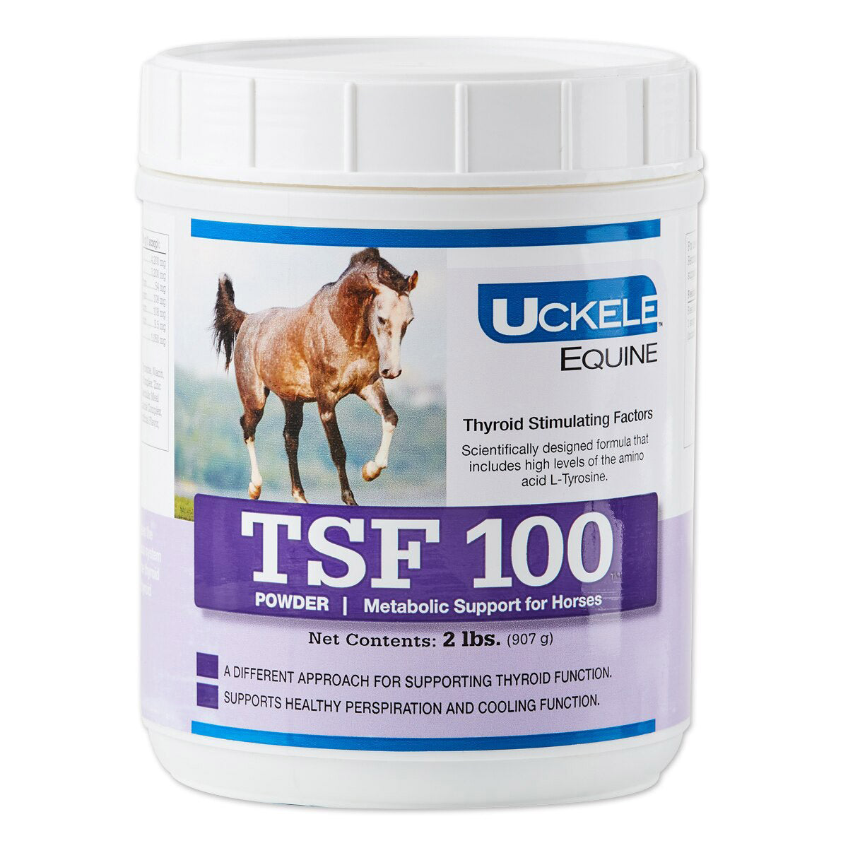 tsf 100