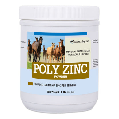 Poly Zinc Powder
