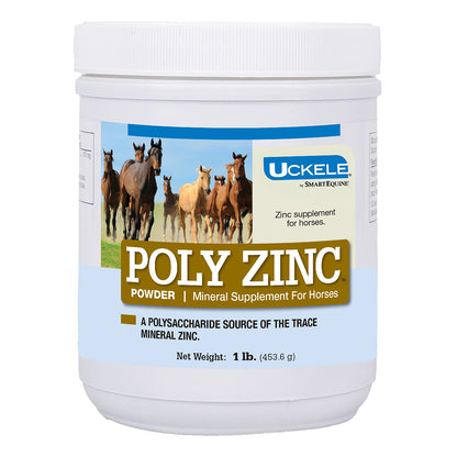 Poly Zinc Powder