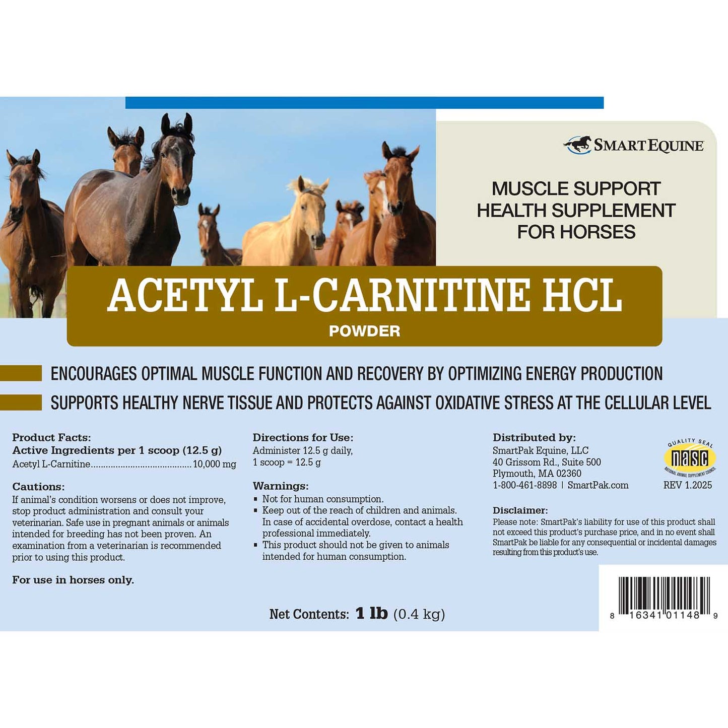 acetyl l-carnitine powder