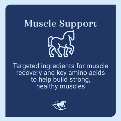 Acetyl L-Carnitine Powder