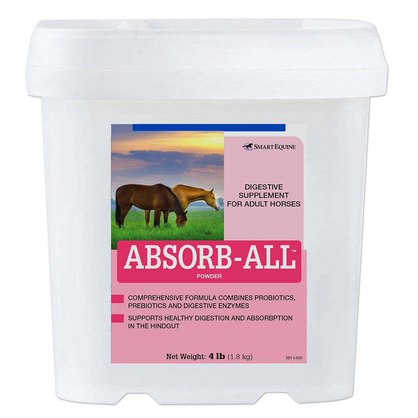absorb-all powder