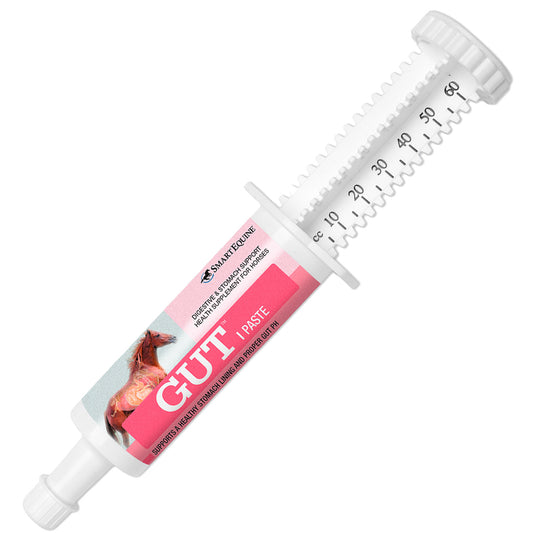 GUT Paste