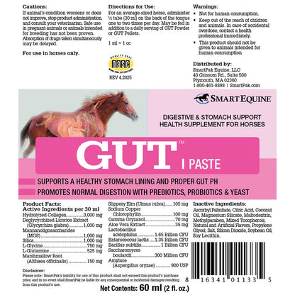 GUT Paste