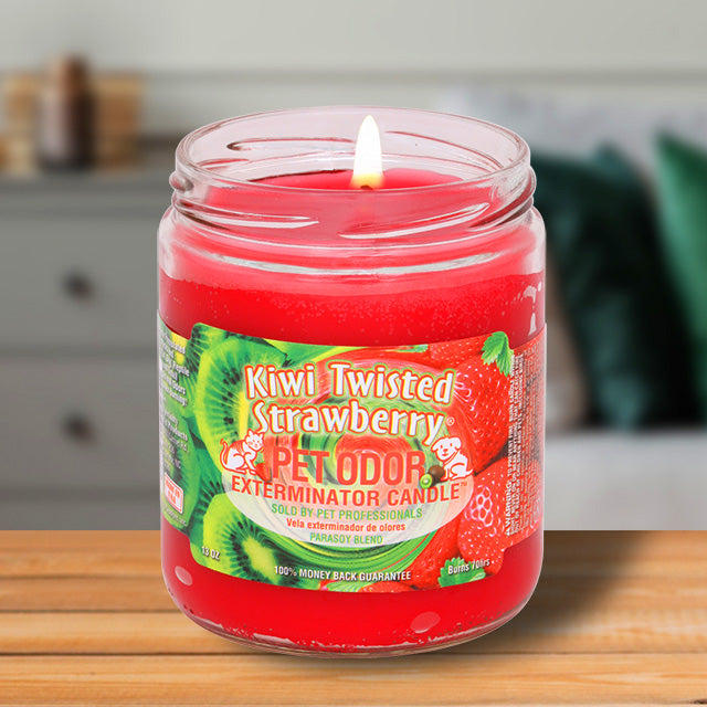pet odor exterminator candle, kiwi twisted strawberry, 13 oz