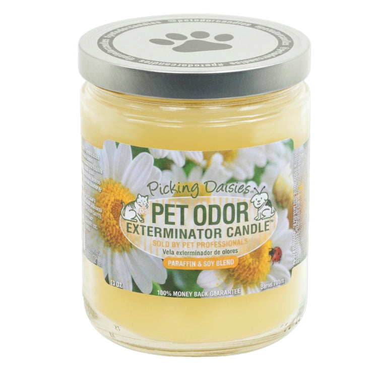 pet odor exterminator candle, picking daisy, 13oz