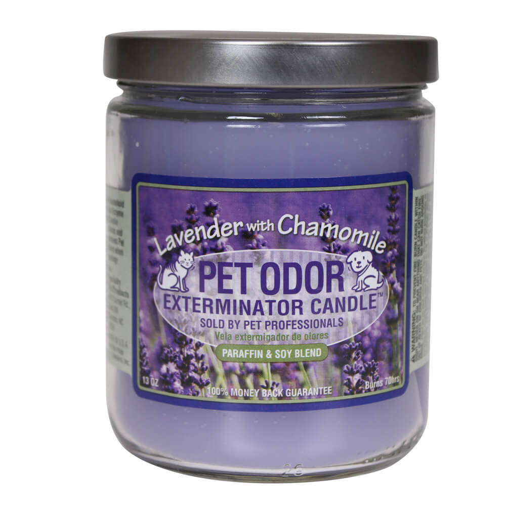 pet odor exterminator candle, lavender with chamomile, 13 oz