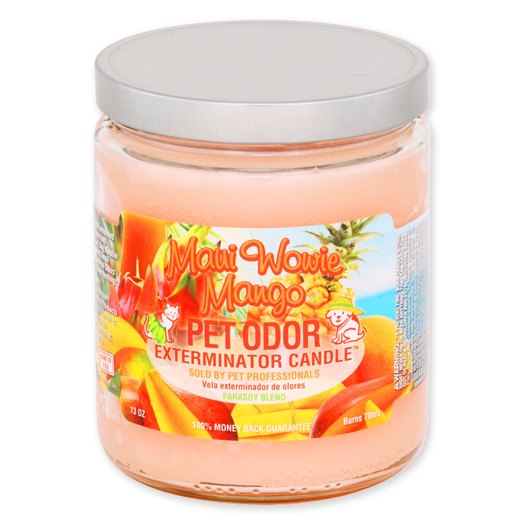 pet odor exterminator candle, maui wowie mango, 13 oz