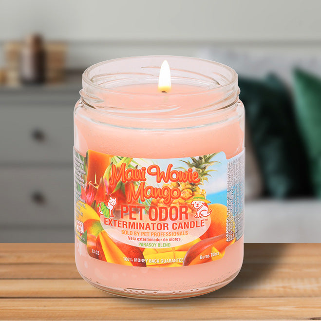 pet odor exterminator candle, maui wowie mango, 13 oz