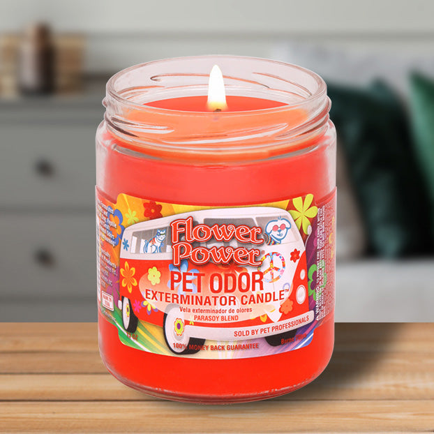 pet odor exterminator candle, flower power, 13 oz