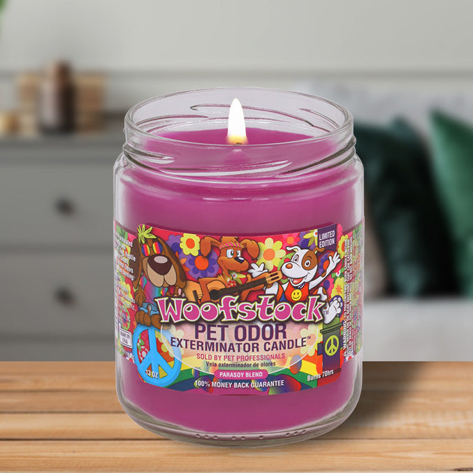 pet odor exterminator candle, woofstock, 13 oz