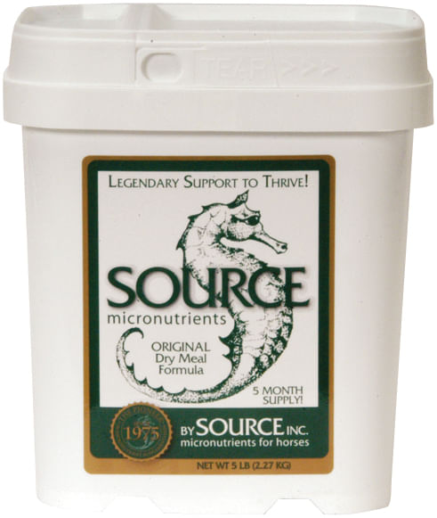 Source (Horse), 5 lb