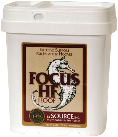Focus HF (Hoof), 3.5 lb
