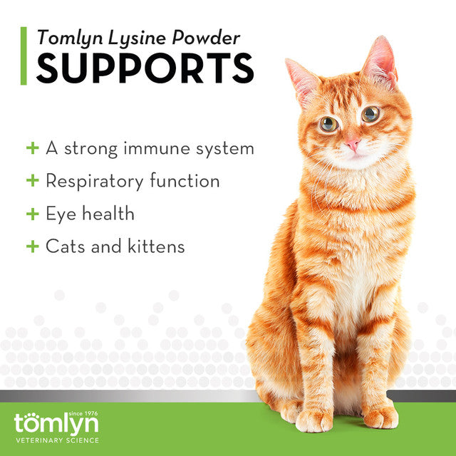 l-lysine powder immune support for cats & kittens
