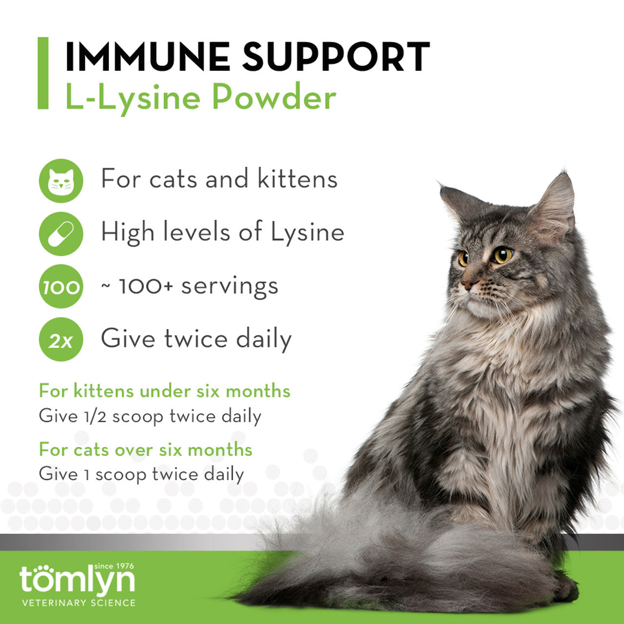 l-lysine powder immune support for cats & kittens