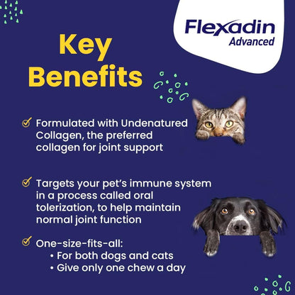 Flexadin Advanced with UC-II 60 count