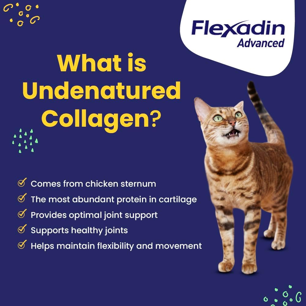 flexadin advanced with uc-ii 60 count