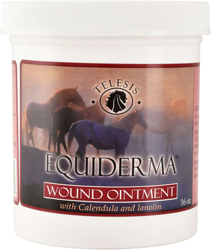 Equiderma Wound Ointment 16oz