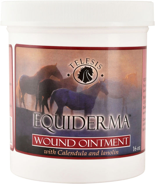 Equiderma Wound Ointment 16oz