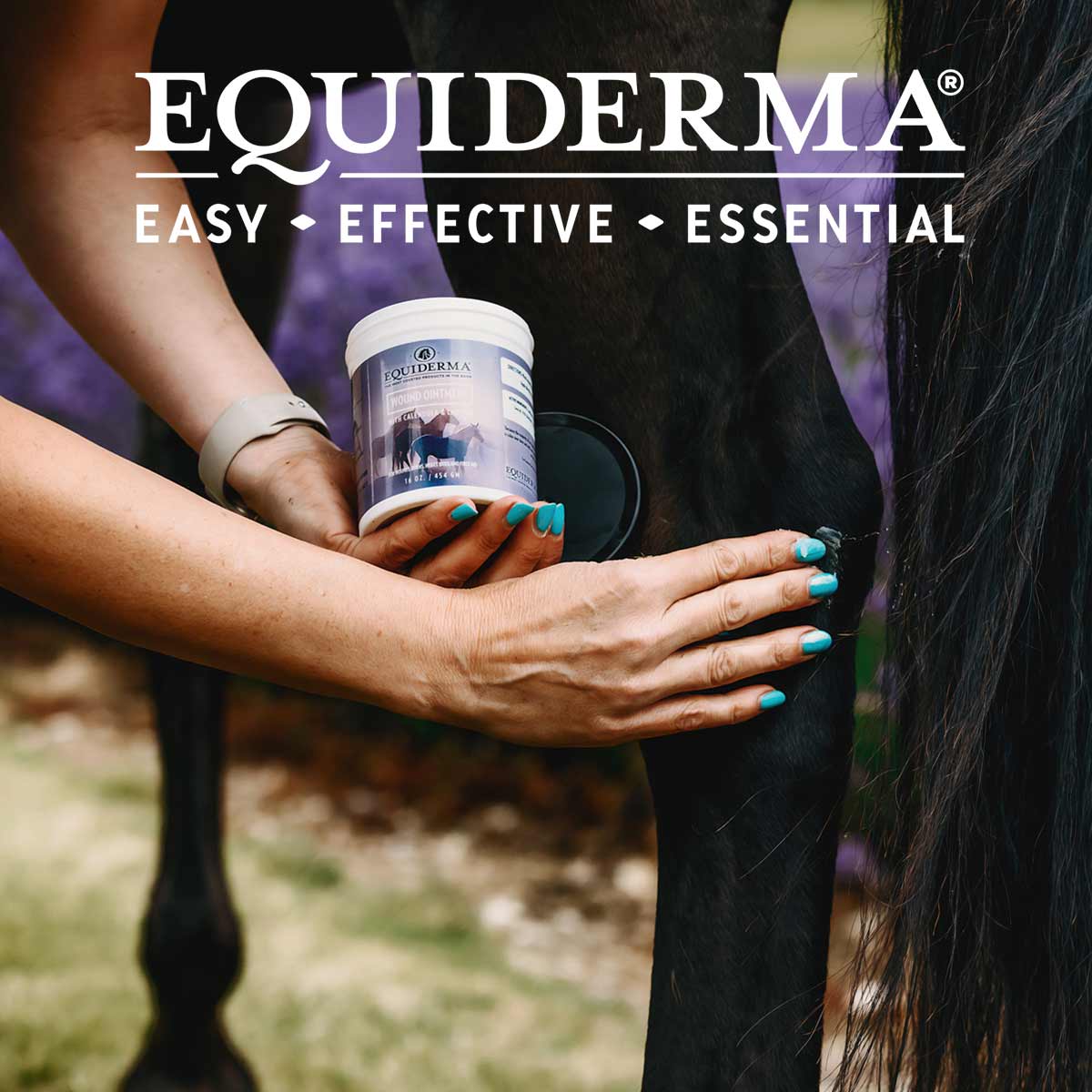 equiderma wound ointment 16oz