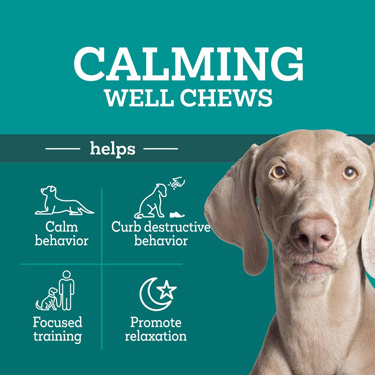 60 ct vetality triple action calming sniffer soft chews for dogs, chicken