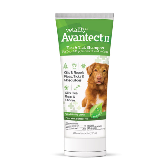 Vetality Avantect II Flea & Tick Shampoo for Dogs