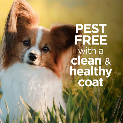 Vetality Avantect II Flea & Tick Shampoo for Dogs