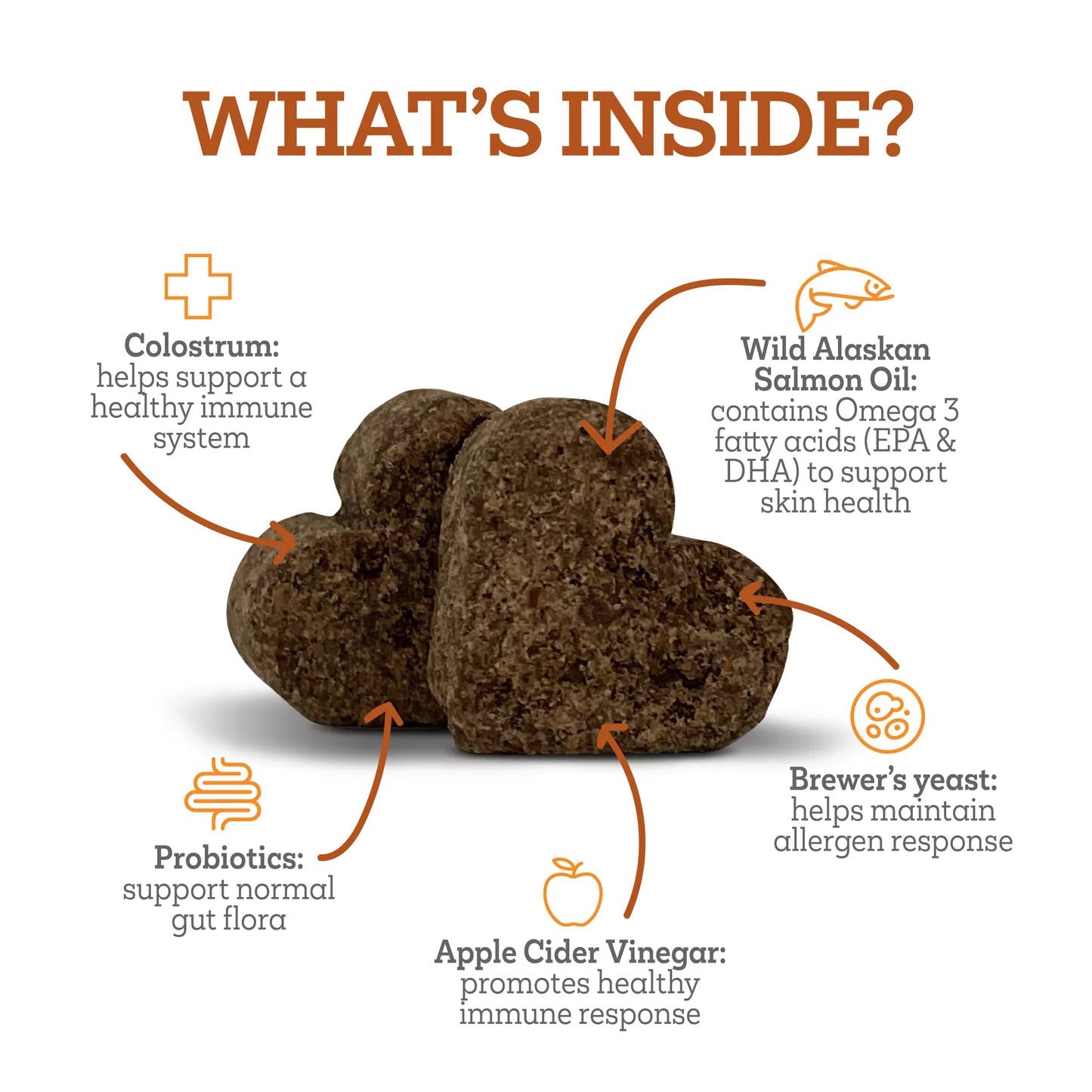 vetality aller-immune skin & coat well chews for dogs (in canister)