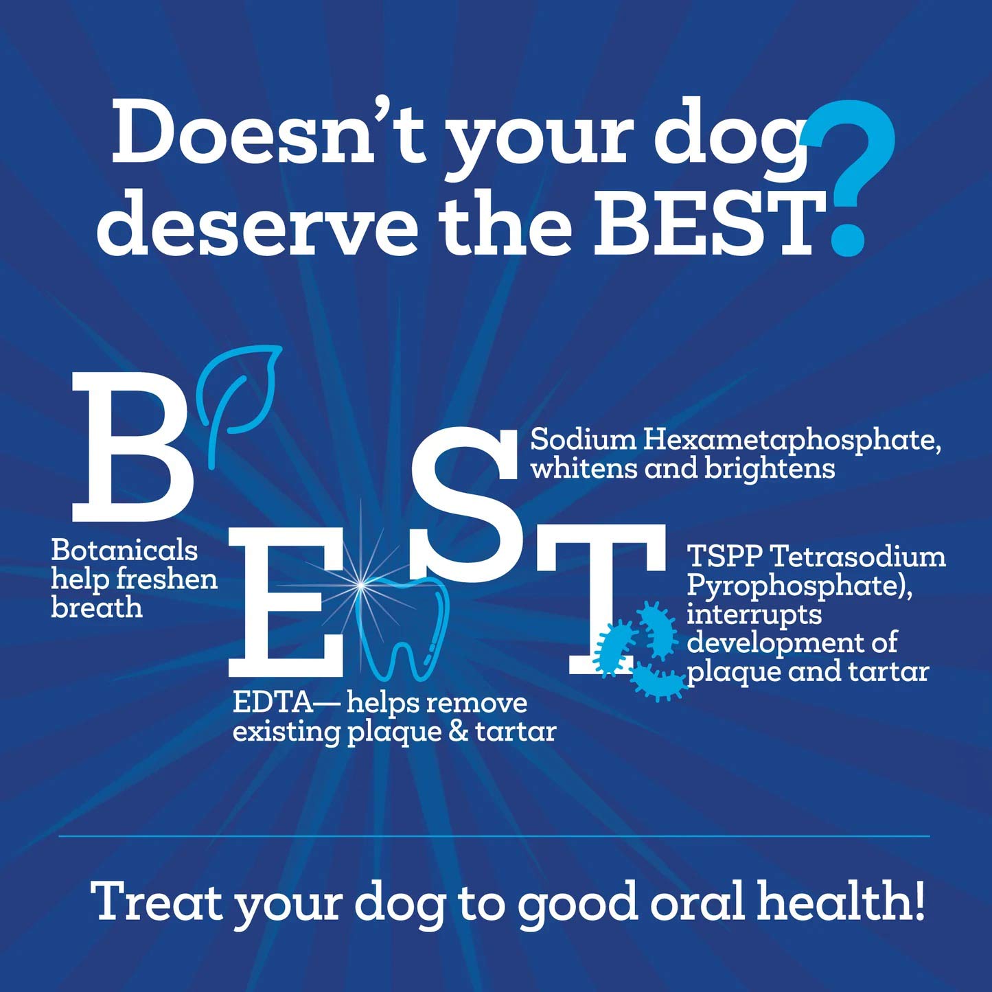 vetality brush free daily dental chews for dogs`