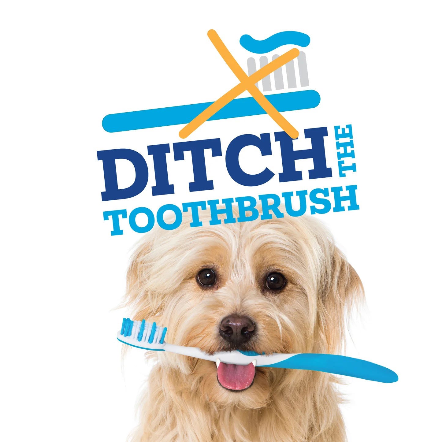 vetality brush free daily dental chews for dogs`