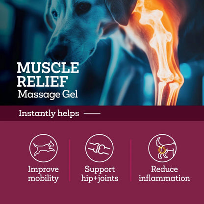 Vetality Muscle Massage Gel