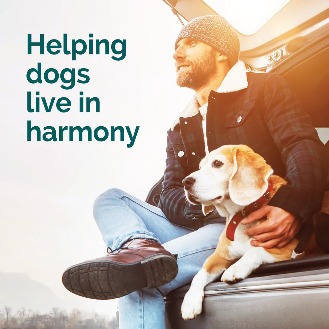 vetality harmony pet calming spray for dogs