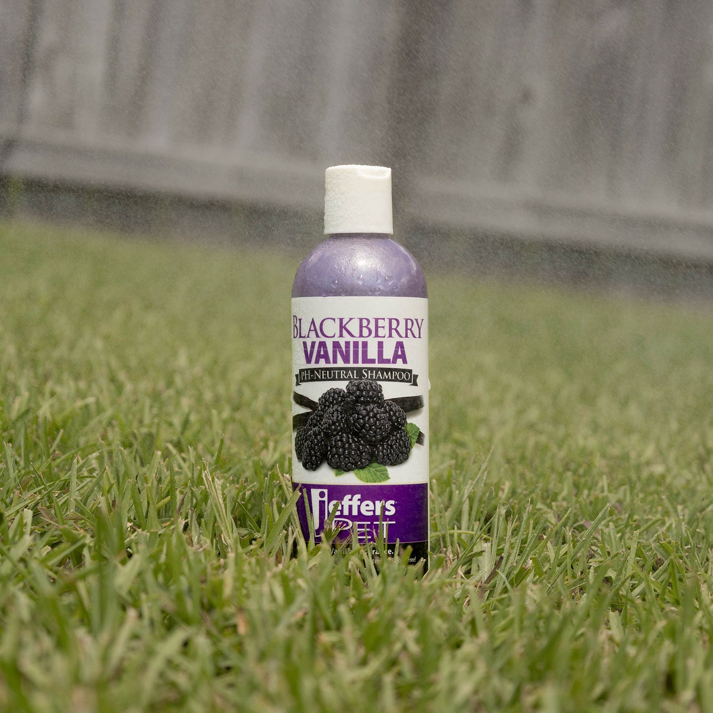 jeffers pet blackberry vanilla ph-neutral shampoo, 17 oz - soap & detergent free, tearless pet grooming shampoo with aloe vera, coconut extract, vitamins a d e, concentrated formula, made in usa