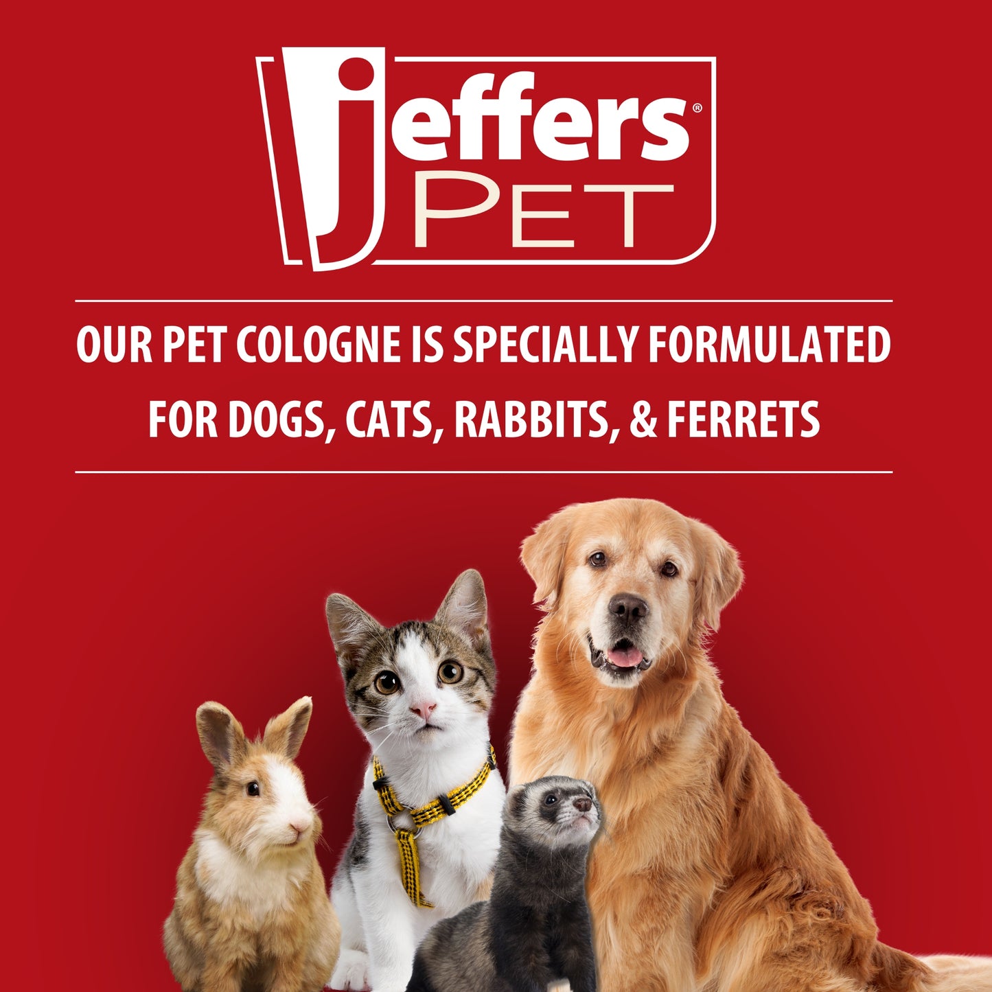 jeffers pet colognes with coat conditioner for dogs & cats 16 oz - soap & detergent free grooming spray for fresh, odor control, silky coat & home freshening, safe formula, made in usa - orange crème