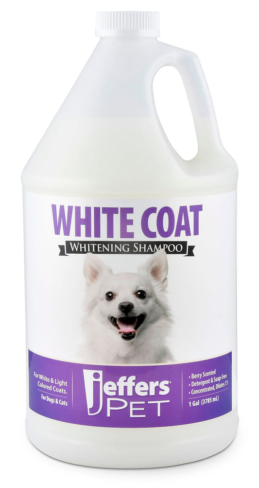 Jeffers Pet White Coat Shampoo for Dogs & Cats, 128 oz - Soap Free Coconut Cleanser w/ Vitamins A D E & Glycerin, Deodorizing Berry Scent Grooming Shampoo, Concentrated Bleach Free Formula, USA Made