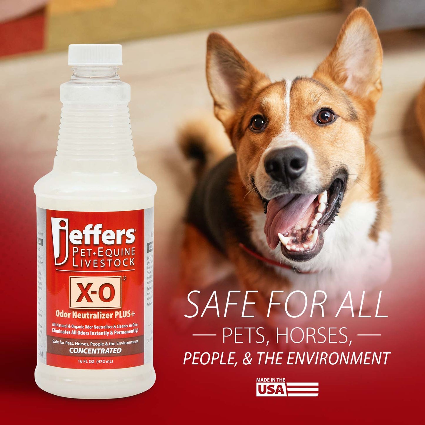 jeffers x-o pet odor neutralizer plus & cleaner concentrate, 16 oz - non enzyme, multi-surface deodorizer with light fresh scent for dogs, cats, horse & people, urine odor remover, makes 1 gallon