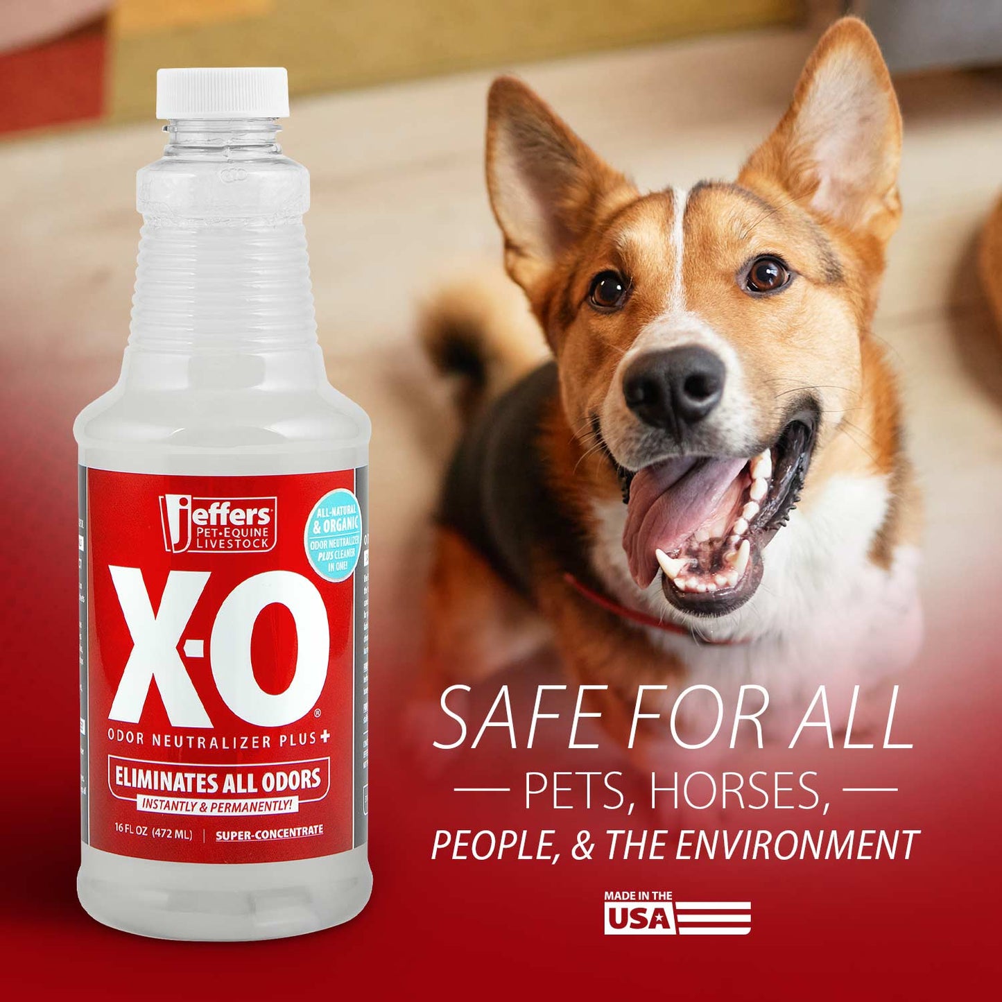 jeffers x-o pet odor neutralizer plus & cleaner concentrate, 16 oz - non enzyme, multi-surface deodorizer with light fresh scent for dogs, cats, horse & people, urine odor remover, makes 1 gallon