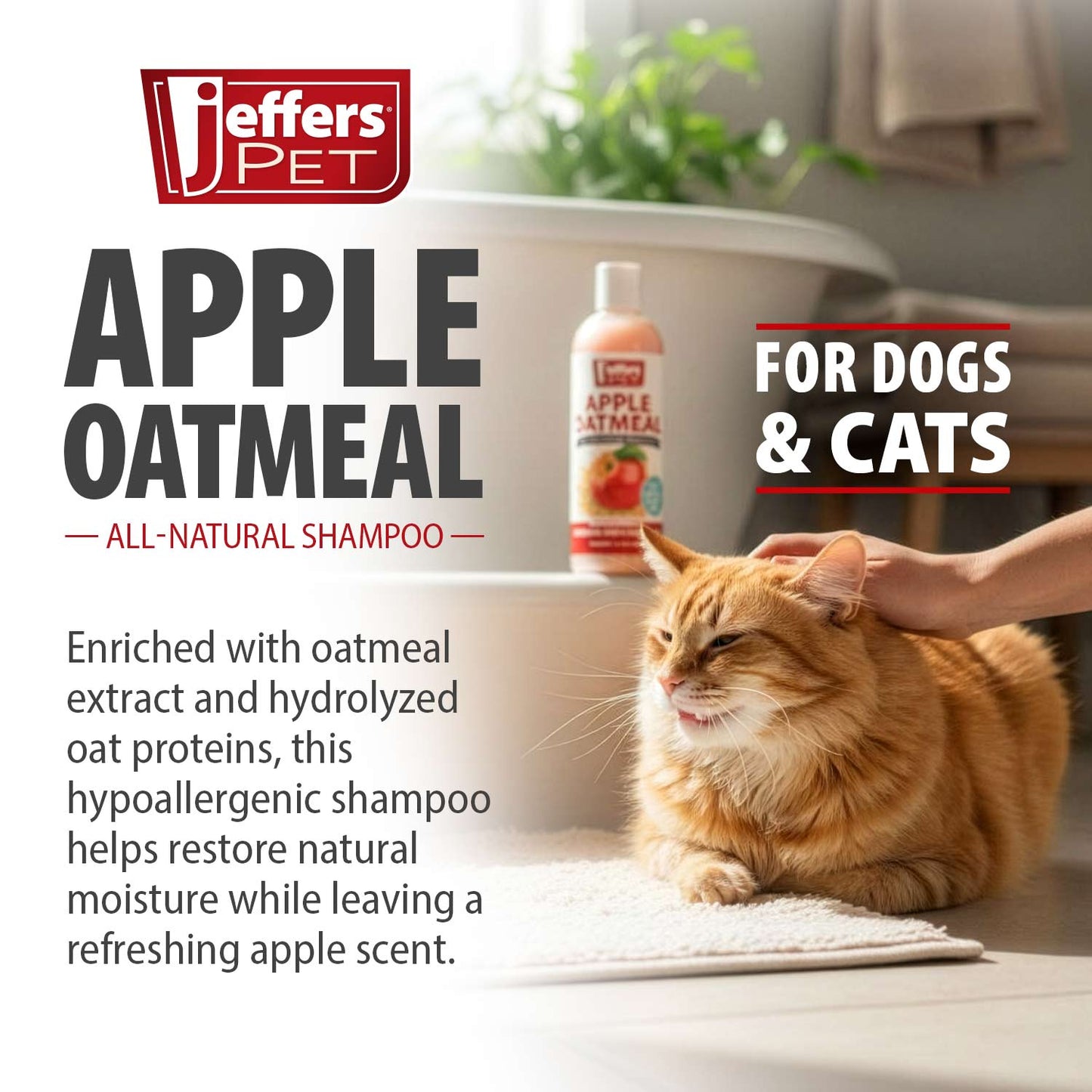 jeffers pet apple oatmeal shampoo for dogs & cats, 17 oz - gentle coconut based formula w/ colloidal oat protein, soap free, deodorizing apple scent, sensitive skin, puppies kittens grooming care