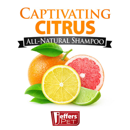 Jeffers Pet Captivating Citrus Dog & Cat Shampoo, 17 oz – Deodorizing Grooming Wash, Citrus Based Soap Free Formula w/ D-Limonene, Aloe Vera, Eucalyptus & Coconut Oil, Concentrated Pet Coat Cleanser