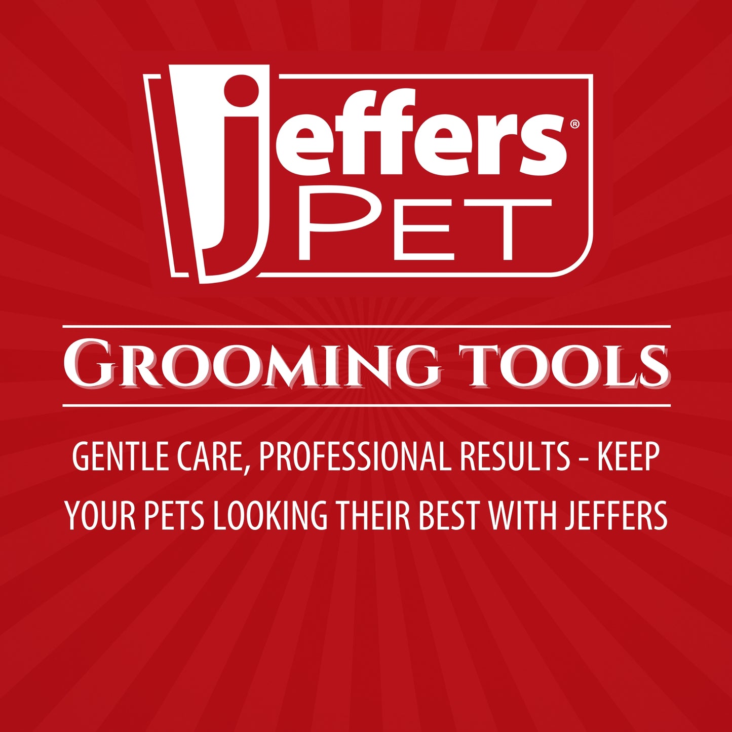 jeffers pet nail clippers – large thin blade, plier style grooming tool for dogs & cats, stainless steel trimmer with stopper tap screw, spring loaded handle, professional pet nail clipper, black