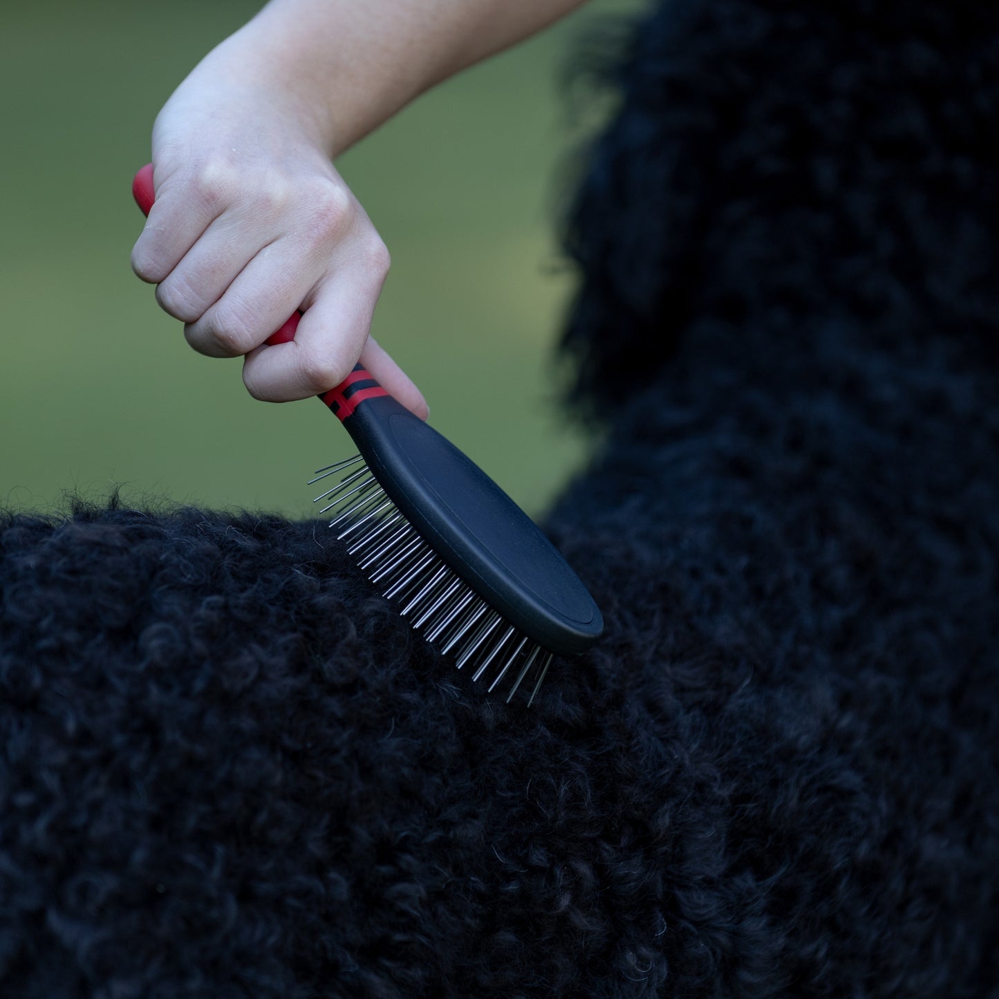 jeffers pet single sided pin brush for dogs cats horses, patented pin pad, durable bristles, detangling grooming brush for medium to long hair, smooth finish, tangle free coat, travel size - medium