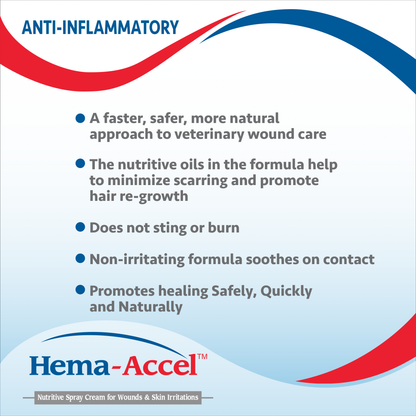 Hema-Accel Canine All Natural Wound Care Spray, 4oz