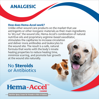 Hema-Accel Equine All Natural Wound Care Spray, 16oz