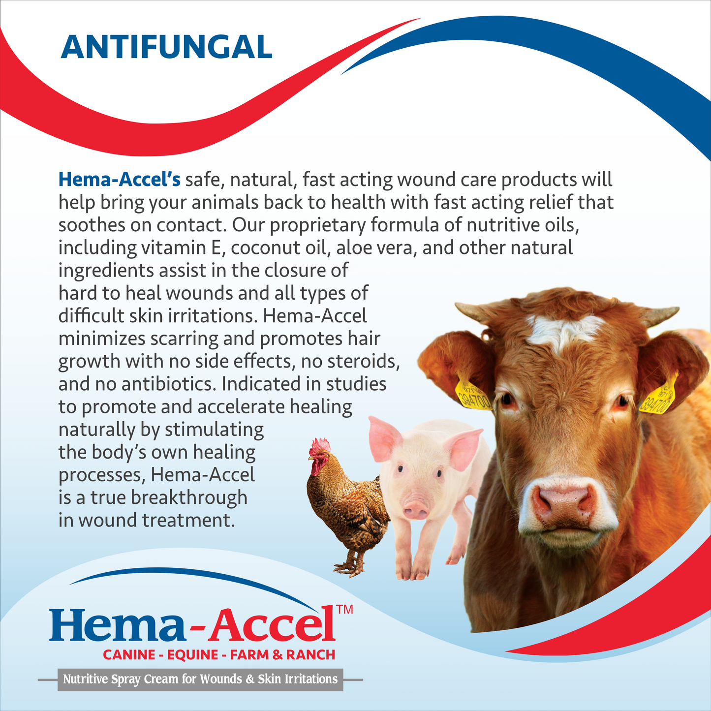 hema-accel equine all natural wound care spray, 16oz