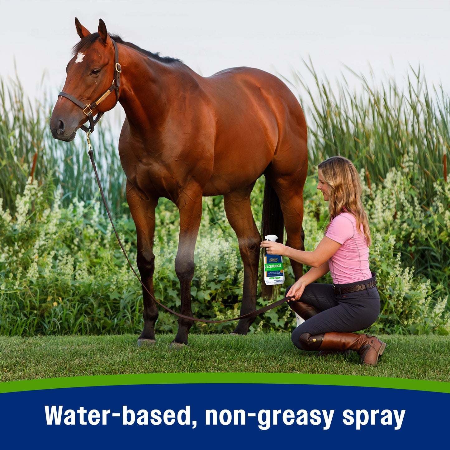 farnam equisect water-based botanical fly repellent with herbal scent for horses, dogs and cats 128 ounces