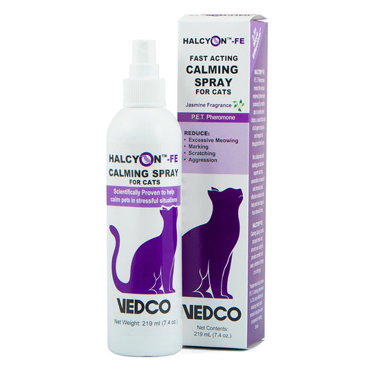 Halcyon FE Spray, 219ml